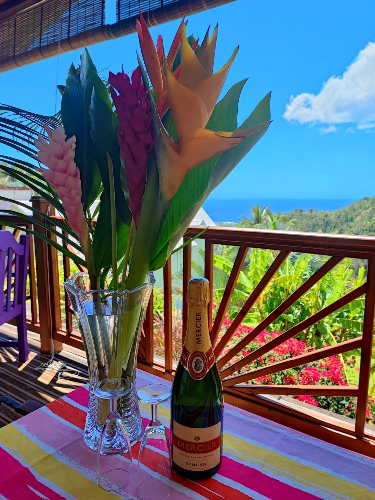 Gîte 4 étoiles, la Vieille Sucrerie St Claude Guadeloupe, Jacuzzi Spa privatif, vue exceptionnelle sur la mer des Caraïbes Basse-Terre Esterno foto